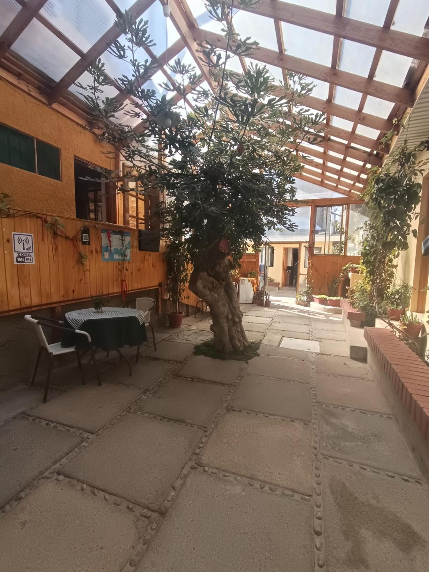 Hostal Julia El Quisco Esterno foto
